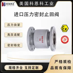 进口压力密封止回阀 金属硬密封 合金钢阀瓣 焊接法兰 美国KNKE科恩科