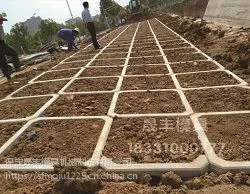 阶梯式生态护坡制造技术逐渐提升