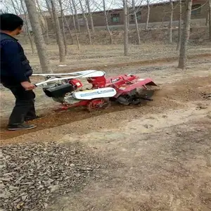 �ַ�����������Ч����ô�� չ����԰����������Ǯ