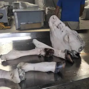 圆筒牛头蹄脱毛机立式牛蹄 打毛机鸿宇食品机械不锈钢材质刮毛机