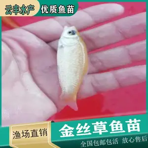 ���Ľ����������� �������������� �⵹��������
