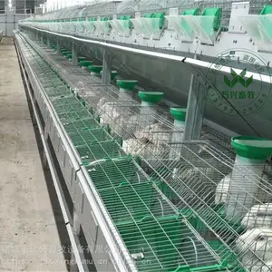 Ʒ������ֳ������ ˫�������� ��ʽ�����豸