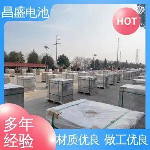 ��ʢ OPzV2-100 ͨ�� �ź�ϵͳ���õ�Դ ̫���ܵ�� ��ʽ��������