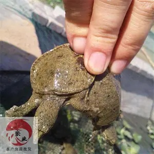 �㶫����_�糡ֱ��ˮ����_��ˮ�ձ���