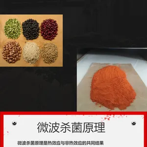 微波干燥杀菌烘干设备 微波干燥机连续隧道式杀菌设备 烘干设备