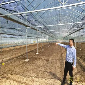 周宁葡萄连体大棚开间跨度 果树连栋大棚高度长度柘荣温室大棚厂家 热镀锌大棚管