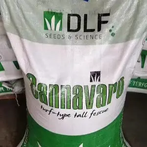 多年生黑麦草冬景留兰香薄荷种子柳穿鱼花籽火炬百脉根