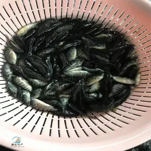 ȫ�����ʴ����޷����� ���������޷�ˮ�� �����޷�