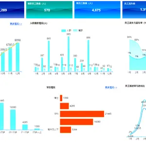 企业人力资源大数据分析解决方案 人力资源数据大屏开发 招聘分析 eHR