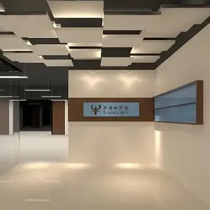 深圳市斯特纽技术有限公司