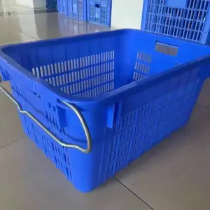 �������߲˿����Ͽ���׵��ɶѶ�