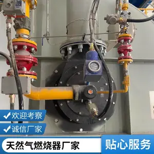 回转窑管式加热炉天然气烧嘴转炉煤气天然气燃烧器源头厂家岱鼎