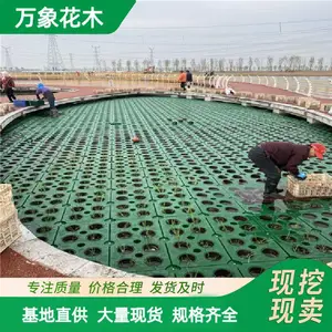 生态浮岛 河道水面绿化浮台 水生植物种植 水环境治理岛