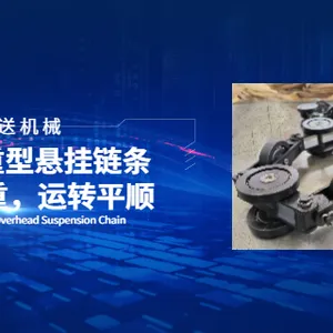 长沙单吊片悬挂链条 江苏天冀输送机械供应