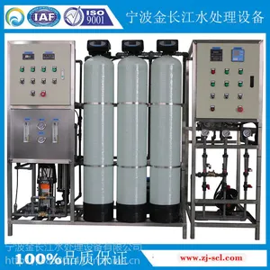 金长江1000L/H单级EDI去离子除盐系统外加一级全自动RO反渗透高纯水设备