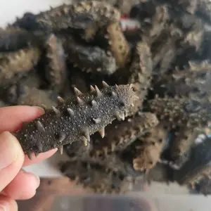 丽水淡干海参批发多钱一斤