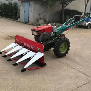 ���������׽ոѷŵ��� �ո�������˻� ���ְ�����ޣ��ɹ��