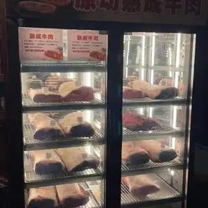 ��ѩ�䶳չʾ�� ��ʽ�䶳����ţ���������� ����ţ���䶳��ع�