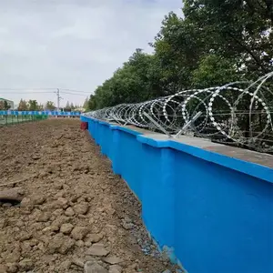 ˫������Ƭ���� �߸��͵�Ƭ���� ��ʢΧǽ�����������