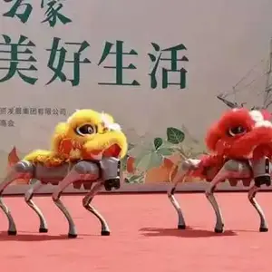 西安丰金锐承接魔术变脸,舞狮演出,歌手演出,小丑杂技,沙画演出,泡泡秀演出
