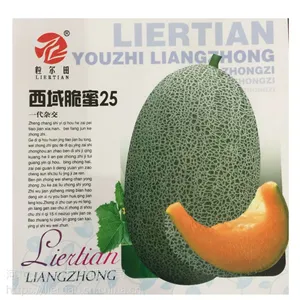 水果种子甜瓜种子西州蜜25网纹哈密瓜种子粒尔田西域脆蜜25包邮