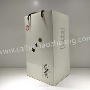 无纺布礼品袋、时尚手提袋,山东彩汇制袋专家