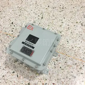 ���ƷǱ�����Ǳ��� BXK-Tϵ�зǱ��� ����ַ����Ǳ���