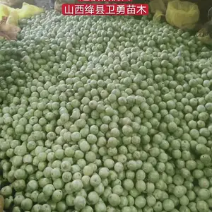 һ����������۸�1��+1����������Ǯһ�ã�