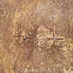 ���������е�ƺѹ�����������Ϸ�ʯ��· ˮ��ѹģ·��ʩ��ģ��