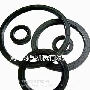TC骨架油封供应 骨架油封规格大全 厂家供应油封