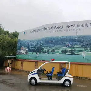 青海电动观光车哪家好