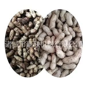 山东泥果子清洗机 带泥花生清洗去泥专用设备 毛辊清洗机生产厂家
