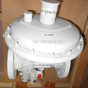ELSTER MR50SF6减压阀J123调压器ELSTER J125 S4调压阀
