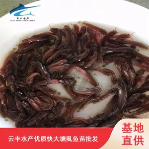 ���ݳ��ۿ�󰣼��������� ��ʭ����۸� Ʒ�ֹ��