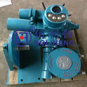 ���ݲ����� ���ת �綯ִ�л��� DZW30-24W ��վ�͵綯ͷ