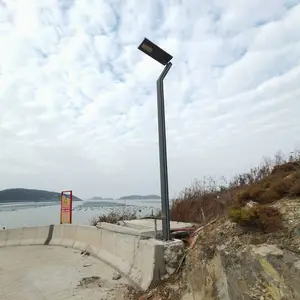 100W一体化太阳能路灯大周光电科技