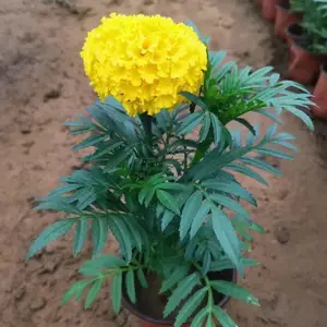 ���پ� �������� ��������û� �������ݱ� ���ͺ� ϲ�����Ͱ���