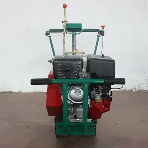 С�����Ƥ�� �������Ĳ�ƺ��ֲ�� ����԰�ֲ���Ƥ�� ��ƺ��ֲ��
