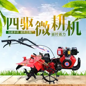 �ַ�С�������� ��������������΢���� һ������