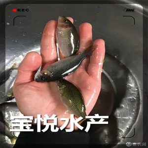 ������������̻��������糡 �̻���������ֳ����