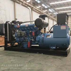 Ϋ��100kw���ͷ������ ȫͭ��ˢ����� ��������