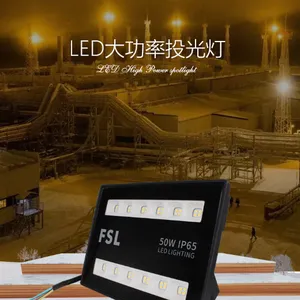 FSL 泛光灯220V 50W 65K 反光杯90°FZ58系列