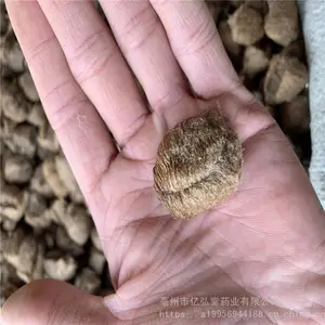 ɣ��ټ۸����Ǯһ���� ɣ������� ����ٲ���ֱ��