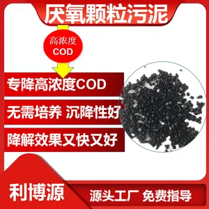 利博源厌氧颗粒污泥厌氧塔专用***去除COD污水处理微生物
