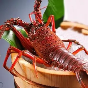 ���ڻ����ʻ�ʽ��ڱ��ش���������������ȫ ���������
