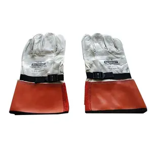 ����Salisbury�繤����Ƥ�ʷ�������׷����̷�������LPG5S