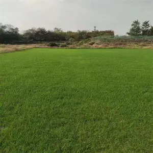 ���ۼ���ӱ��ƺ��ɫ���������˻����ļ����Ƥ������ɫ�����ǻ���