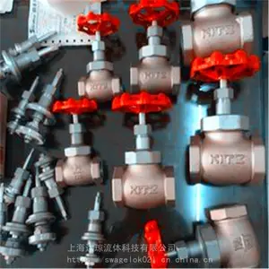 �ձ�����KITZ��ī��������բ��300SLBO