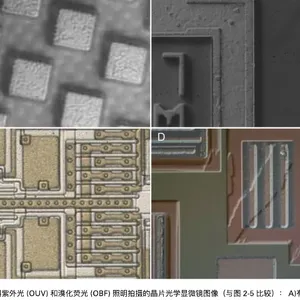 合肥有哪些金相显微镜价格 欢迎咨询 茂鑫供
