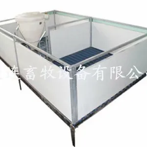 贵州仔猪保育床塑料漏粪地板 仔猪保育床漏粪地板 仔猪保育床